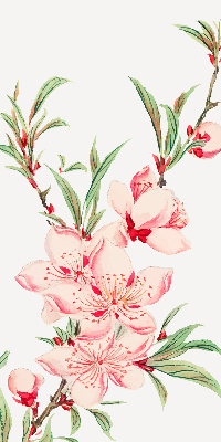 Fényzáró roló Rózsaszín virág