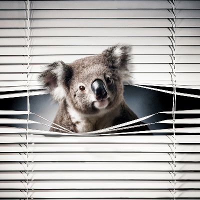 Árnyékoló ablakra Koala