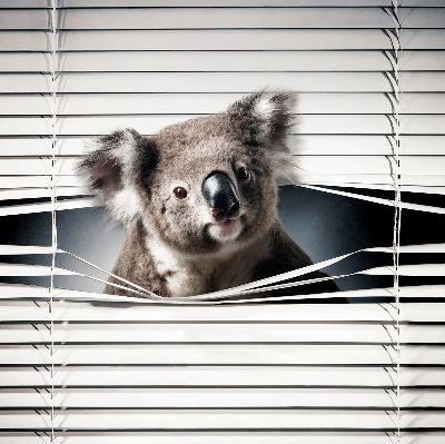 Árnyékoló ablakra Koala