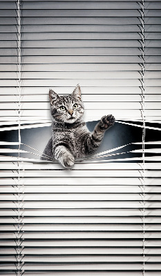 Árnyékoló ablakra Macska
