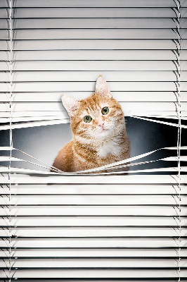 Árnyékoló ablakra Vörös macska