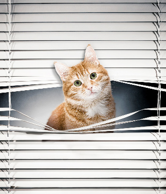 Árnyékoló ablakra Vörös macska