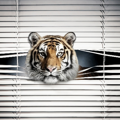 Roló ablakra Tigris