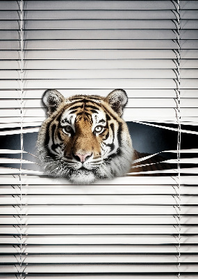 Roló ablakra Tigris