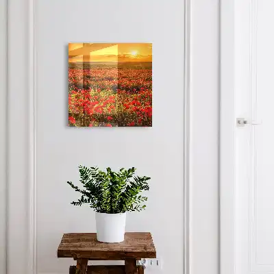 Kulcstároló szekrény Pipacsmezők naplementekor