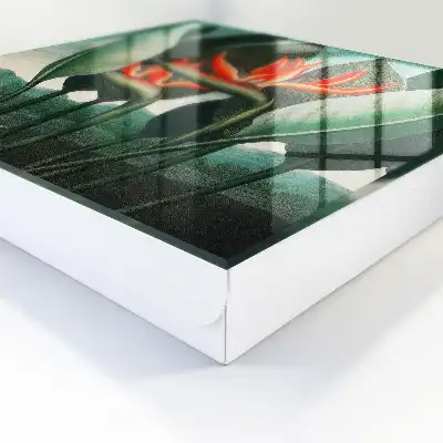 Kulcstartó szekrény A természet egzotikuma lédús színekben