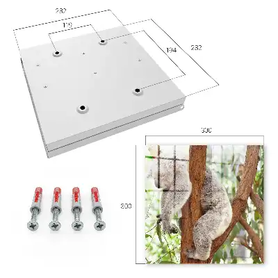Kulcstartó szekrény Koala pihen természeti környezetben