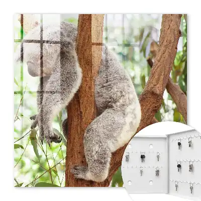 Kulcstartó szekrény Koala pihen természeti környezetben
