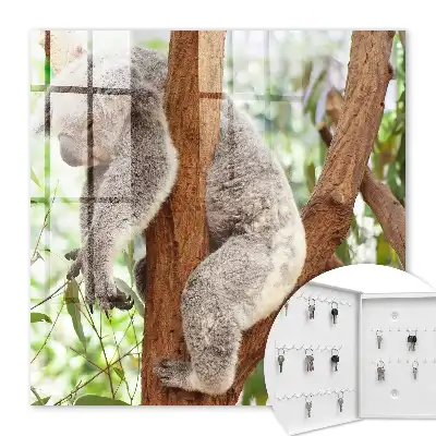 Kulcstartó szekrény Koala pihen természeti környezetben
