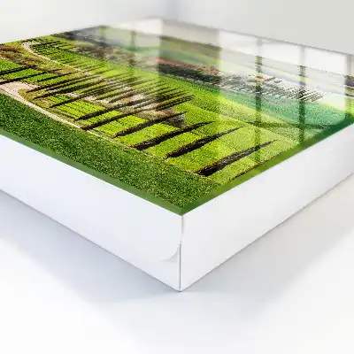 Kulcstároló szekrény Toszkán táj egy dombon ciprusokkal
