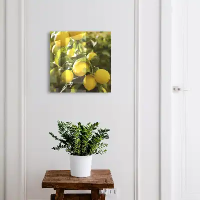 Kulcstartó szekrény falra Lédús, friss zöld levelek