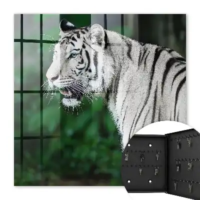 Kulcstartó szekrény falra Fehér tigris zöld környezetben