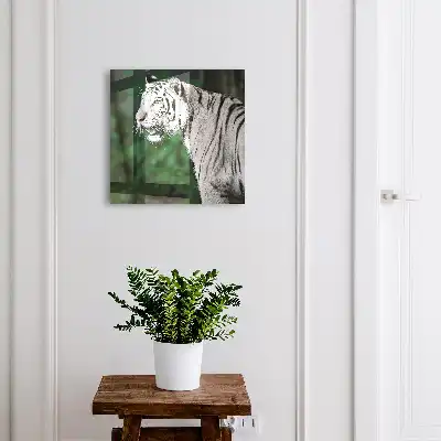 Kulcstartó szekrény falra Fehér tigris zöld környezetben