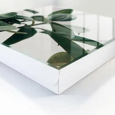 Kulcstároló doboz Ficus levelek a világos háttérben