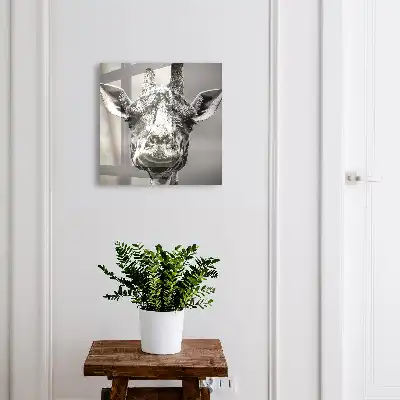 Kulcstartó szekrény Zsiráf portré fekete-fehér tónusokban