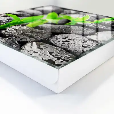Kulcsdoboz A nedves kövek zöld természete