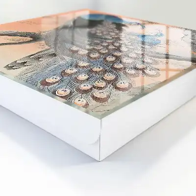 Kulcstartó szekrény Páva szépség pasztell háttérben