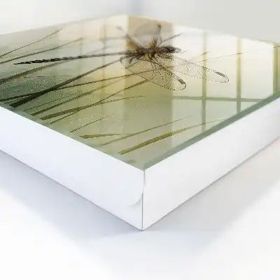 Kulcstároló doboz Szitakötő természet elegancia