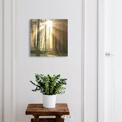 Kulcstartó szekrény falra Erdei fény, varázslatos hangulat
