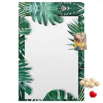 Színes parafatábla Monstera levélmintával