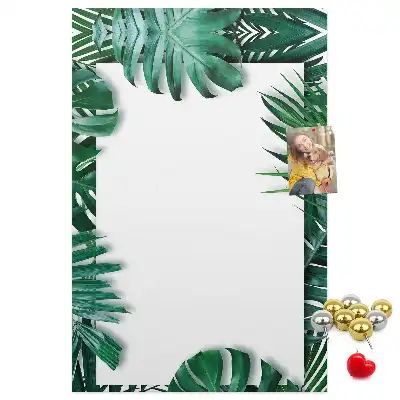 Színes parafatábla Monstera levélmintával