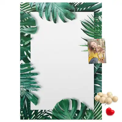 Színes parafatábla Monstera levélmintával
