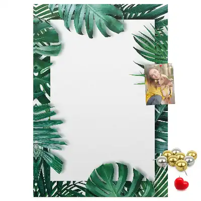 Színes parafatábla Monstera levélmintával