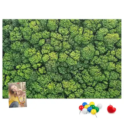 erdő madártávlatból mintával