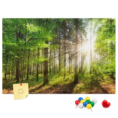 Erdő napkelte mintás fali parafa üzenőtábla