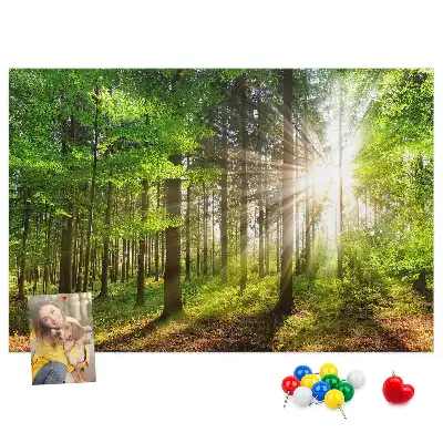 Erdő napkelte mintás fali parafa üzenőtábla