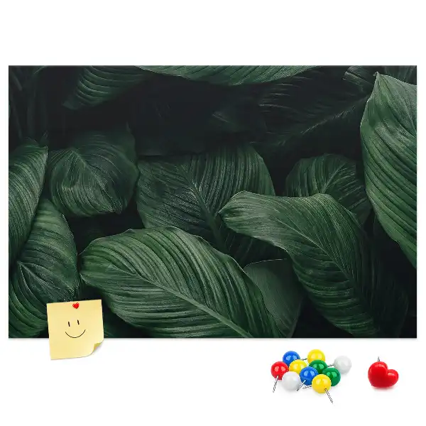 Trópusi monstera mintás parafa üzenőtábla