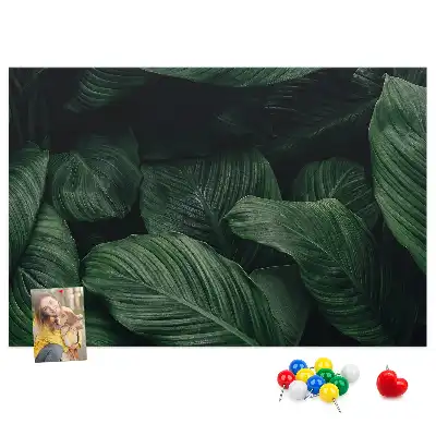 Trópusi monstera mintás parafa üzenőtábla