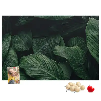 Trópusi monstera mintás parafa üzenőtábla