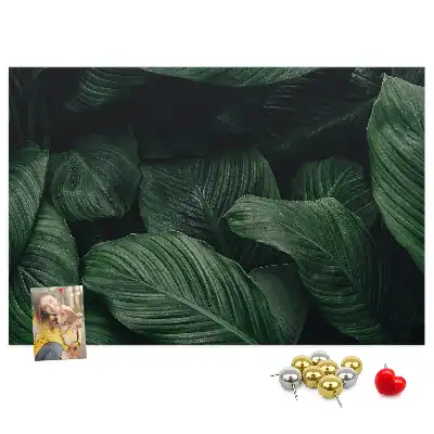Trópusi monstera mintás parafa üzenőtábla