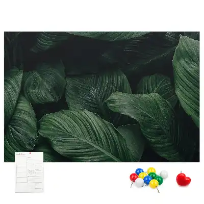 Trópusi monstera mintás parafa üzenőtábla