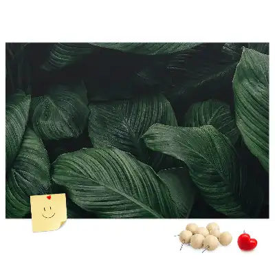 Trópusi monstera mintás parafa üzenőtábla