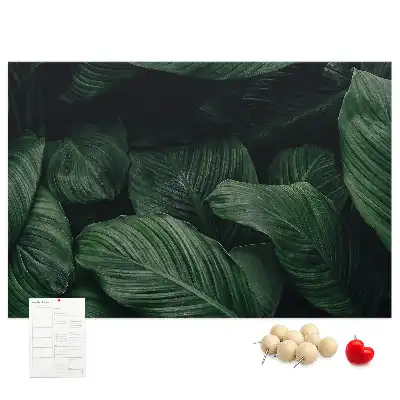 Trópusi monstera mintás parafa üzenőtábla