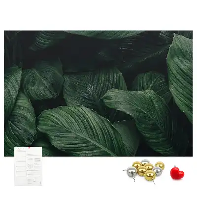Trópusi monstera mintás parafa üzenőtábla