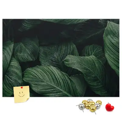 Trópusi monstera mintás parafa üzenőtábla