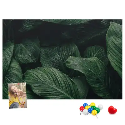 Trópusi monstera mintás parafa üzenőtábla