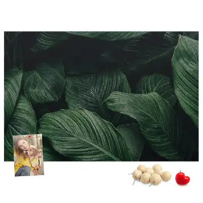 Trópusi monstera mintás parafa üzenőtábla