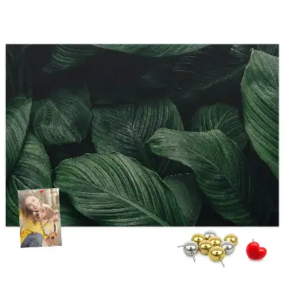 Trópusi monstera mintás parafa üzenőtábla