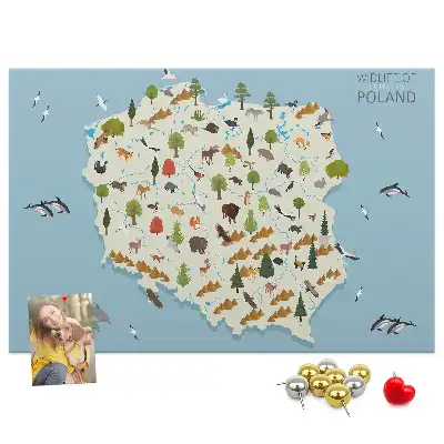 Fali parafa üzenőtábla lengyel állattérképpel
