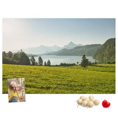 Parafa üzenőtábla hegyek mező mintával