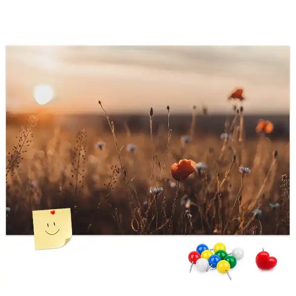 Mező napkelte mintás fali parafa üzenőtábla