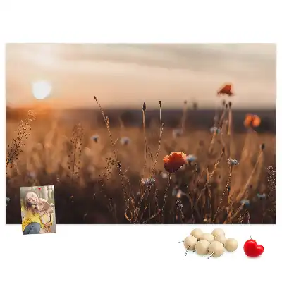 Mező napkelte mintás fali parafa üzenőtábla