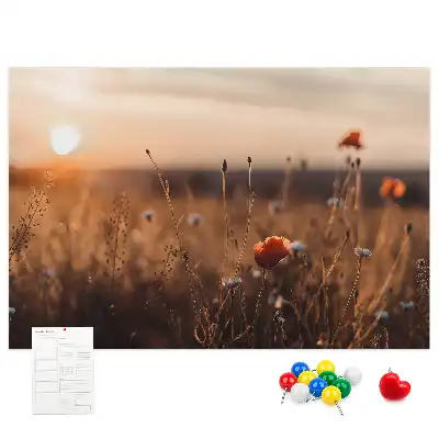 Mező napkelte mintás fali parafa üzenőtábla
