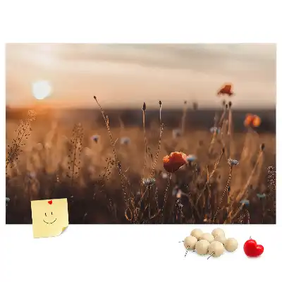 Mező napkelte mintás fali parafa üzenőtábla