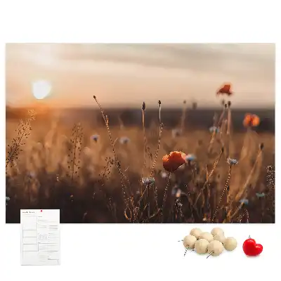 Mező napkelte mintás fali parafa üzenőtábla