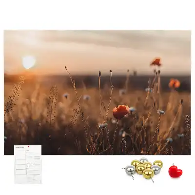 Mező napkelte mintás fali parafa üzenőtábla